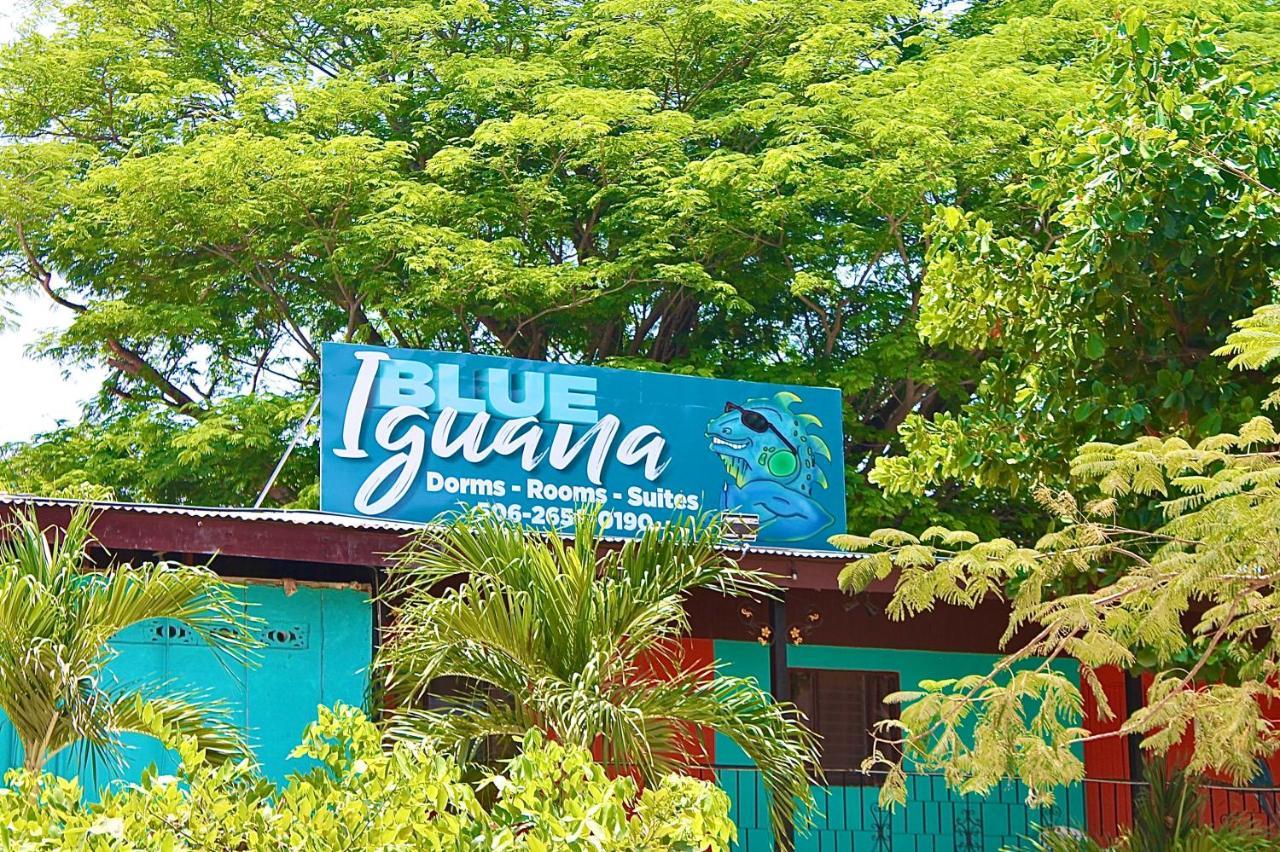 Blue Iguana Hotel Sámara Kültér fotó