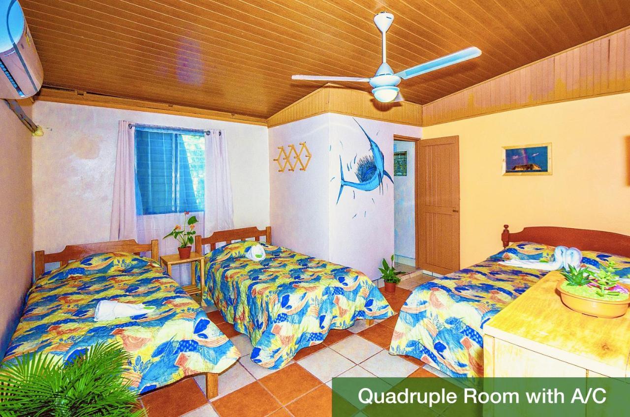 Blue Iguana Hotel Sámara Kültér fotó
