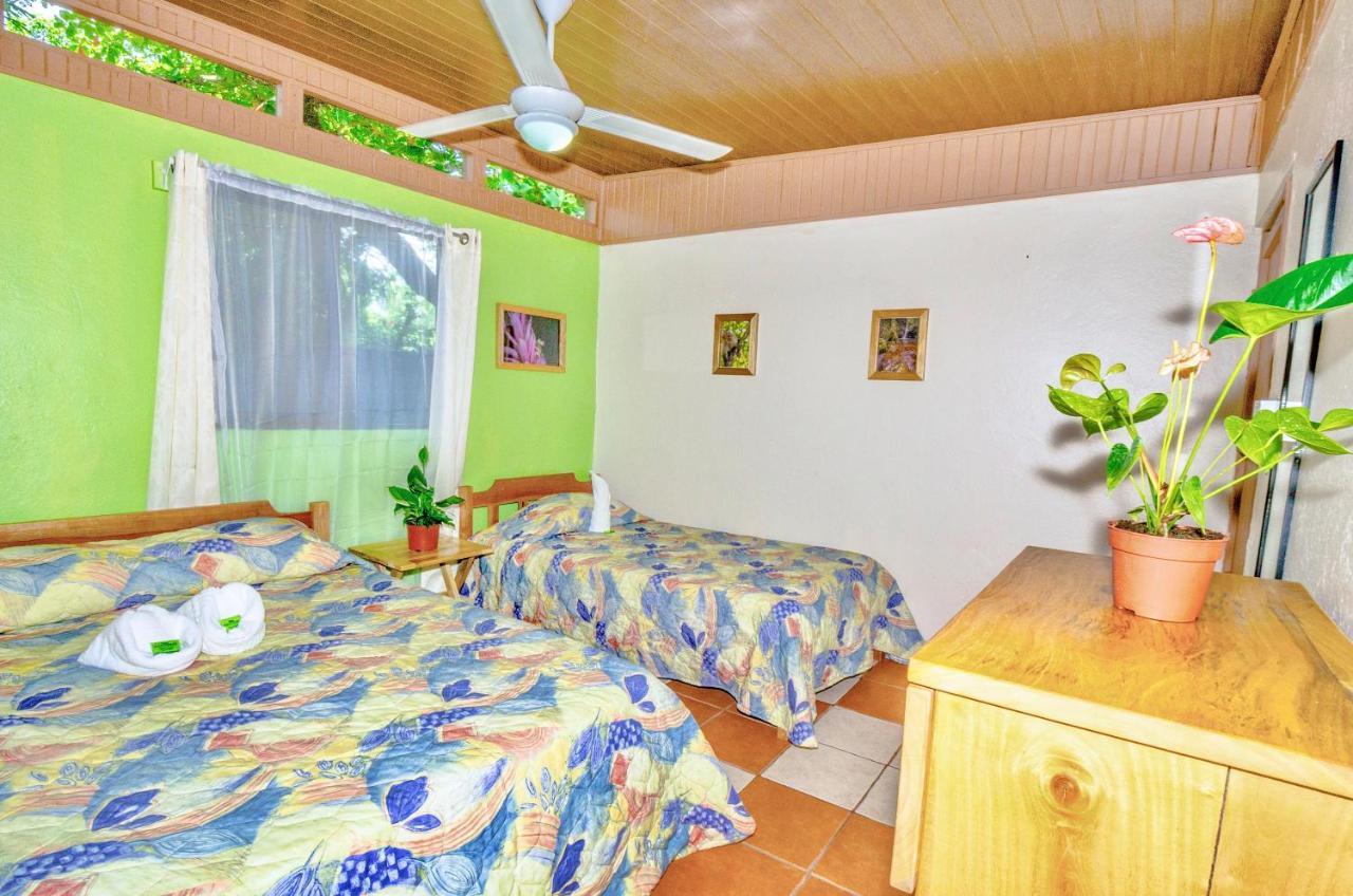 Blue Iguana Hotel Sámara Kültér fotó